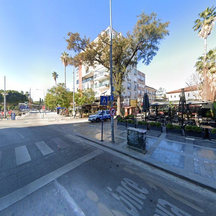 Fotoğraf 14