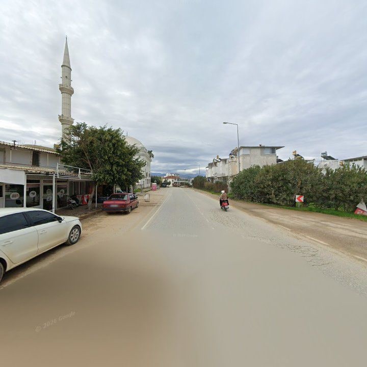 Fotoğraf 7