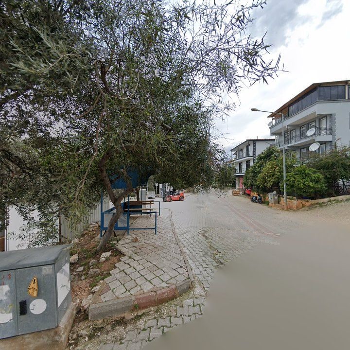 Fotoğraf 9