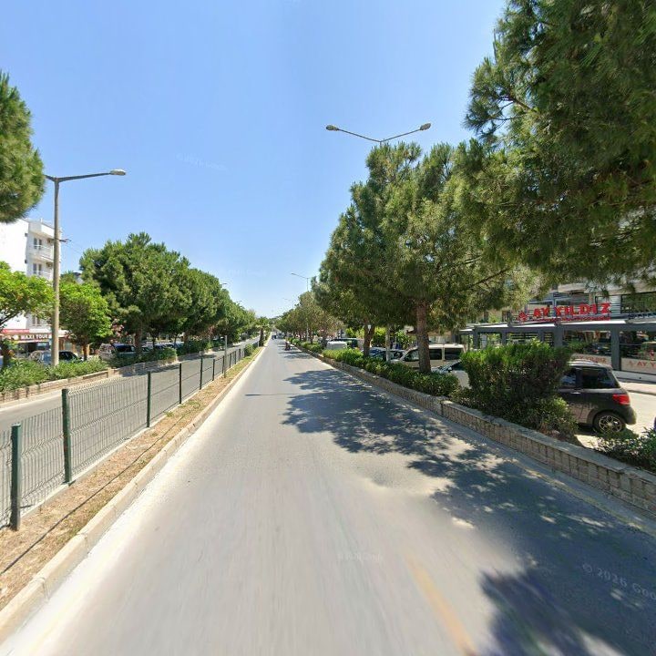 Fotoğraf 11