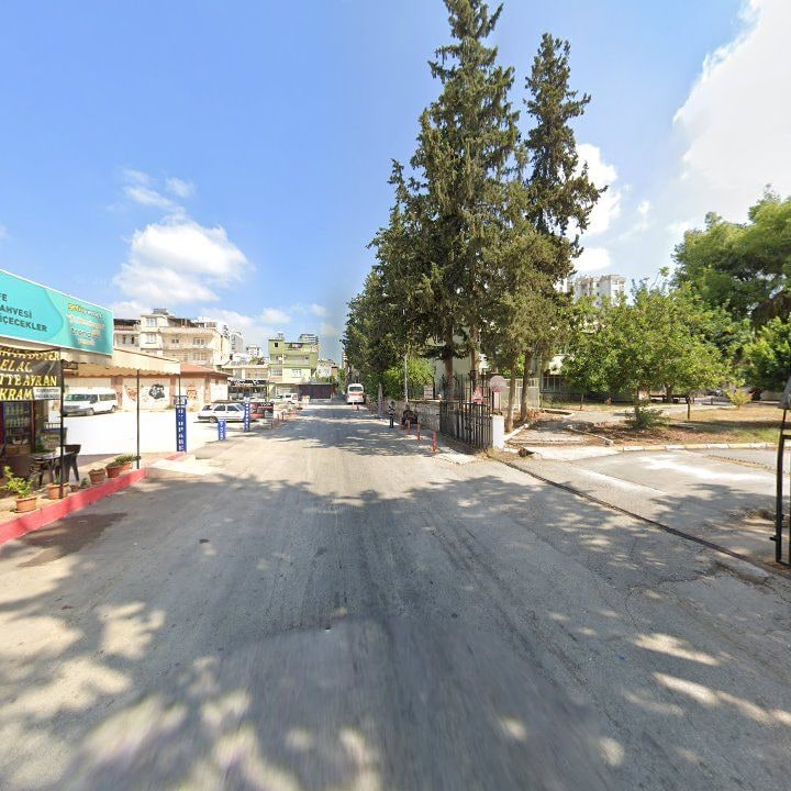 Fotoğraf 5