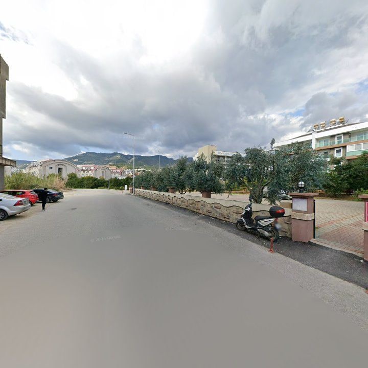 Fotoğraf 8