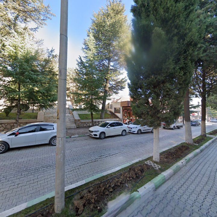 Fotoğraf 8