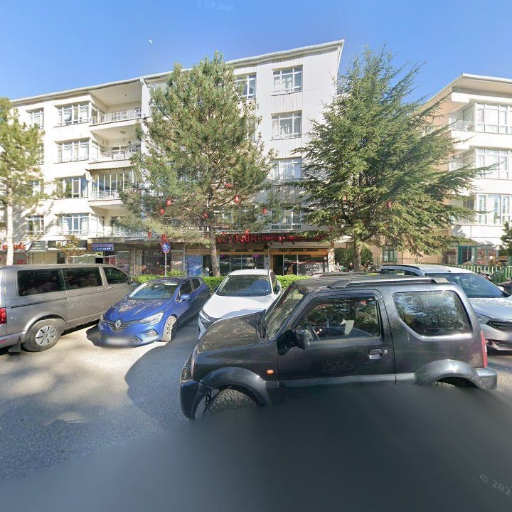 Fotoğraf 12