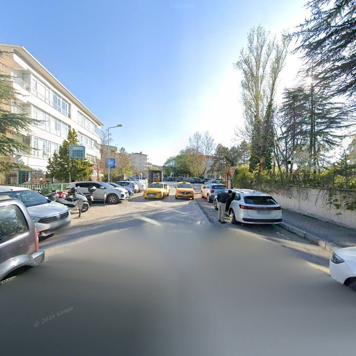 Fotoğraf 13