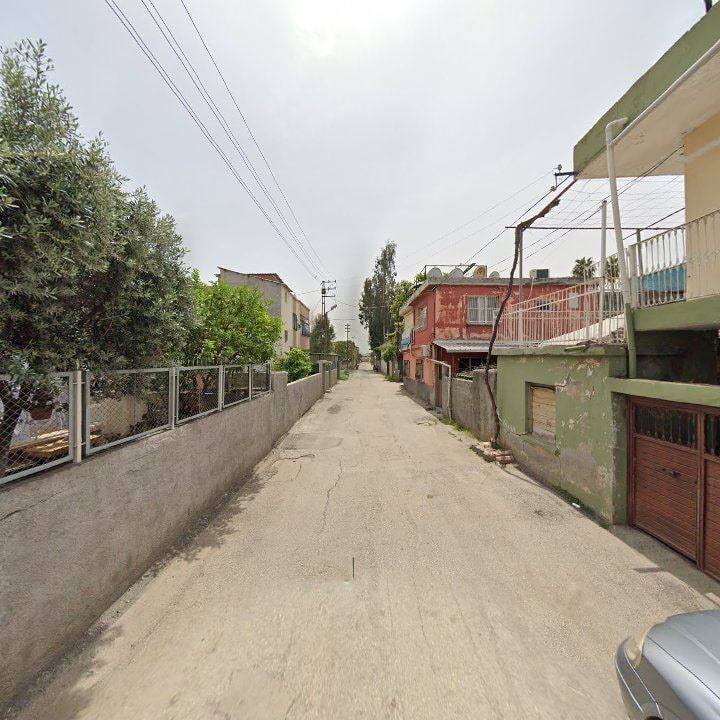 Fotoğraf 7