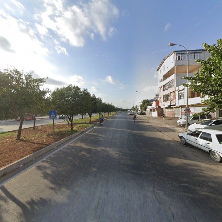 Fotoğraf 6