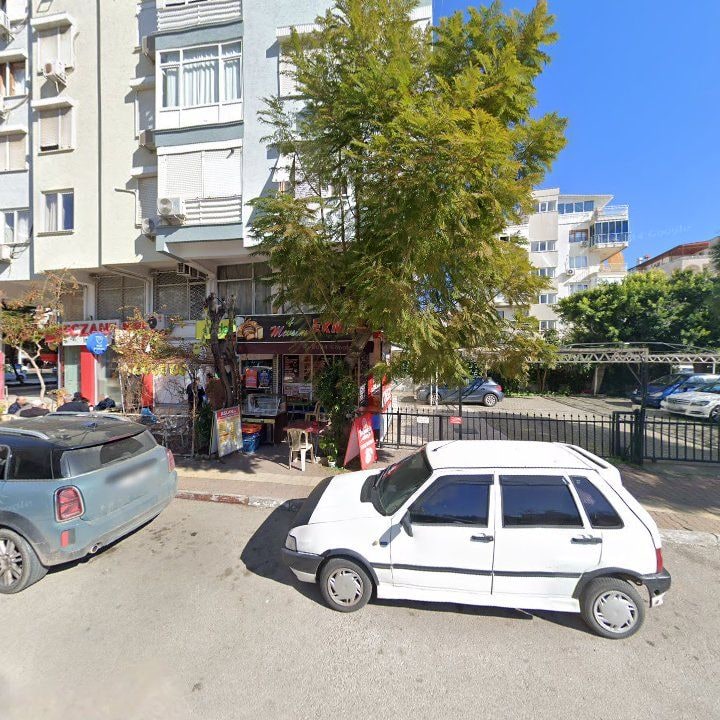 Fotoğraf 8