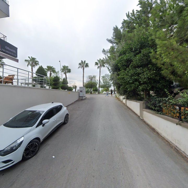 Fotoğraf 9