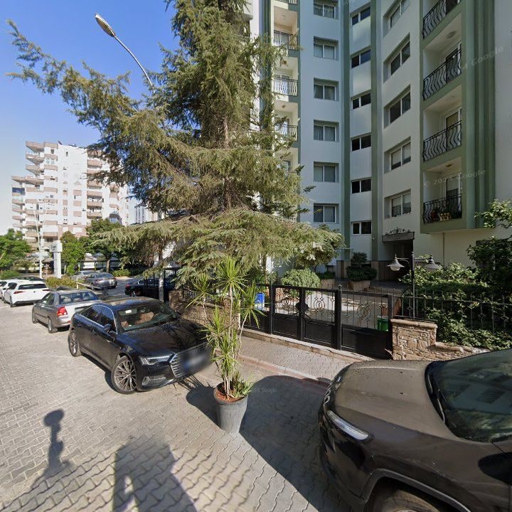 Fotoğraf 11