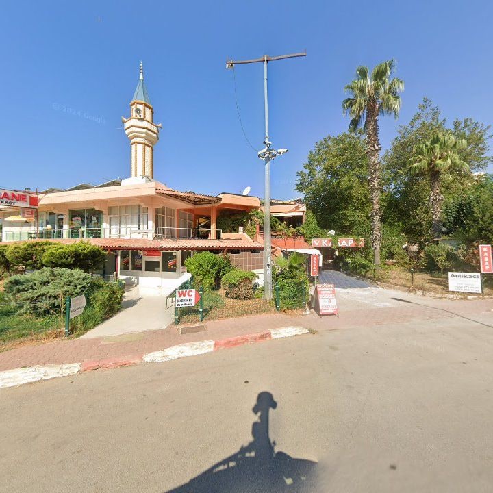 Fotoğraf 8