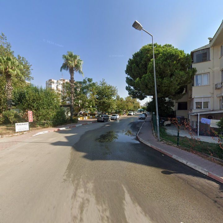 Fotoğraf 9