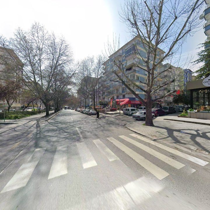 Fotoğraf 12