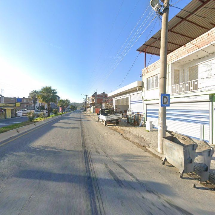 Fotoğraf 8