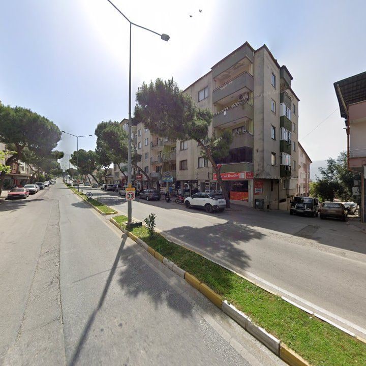Fotoğraf 7