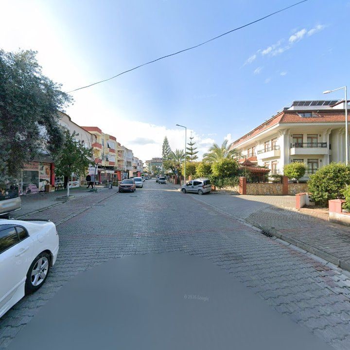 Fotoğraf 8