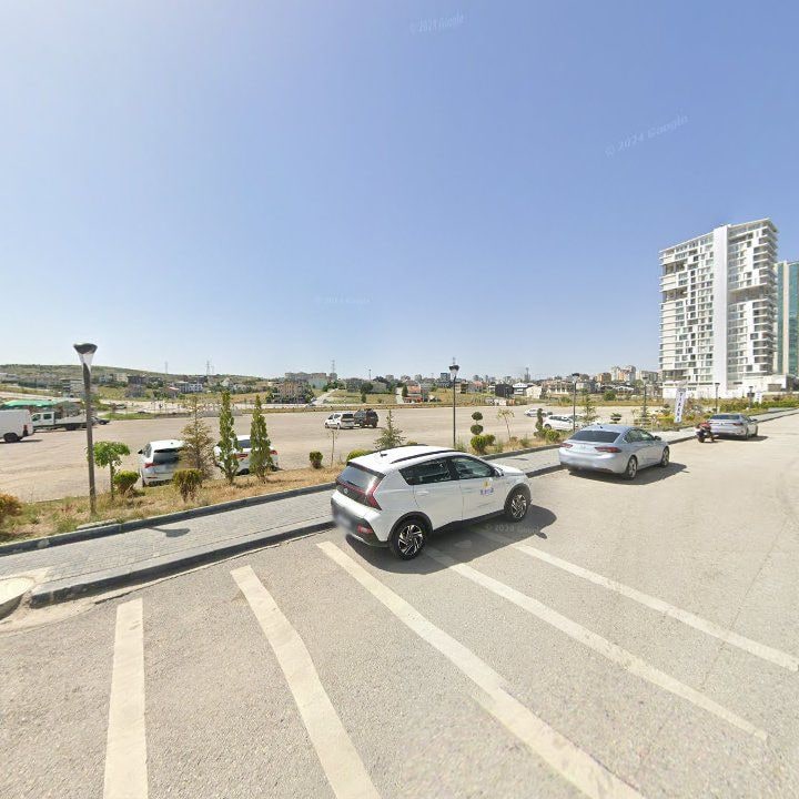 Fotoğraf 9