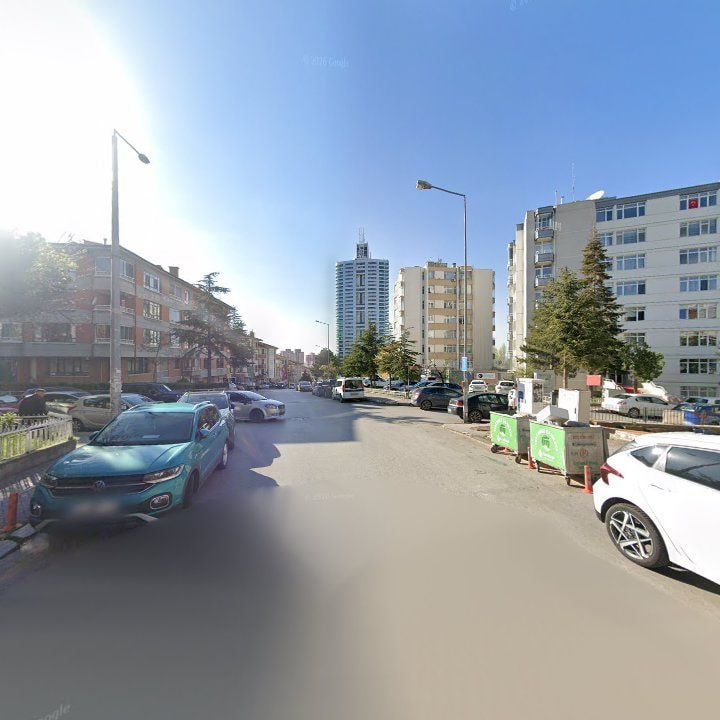 Fotoğraf 9