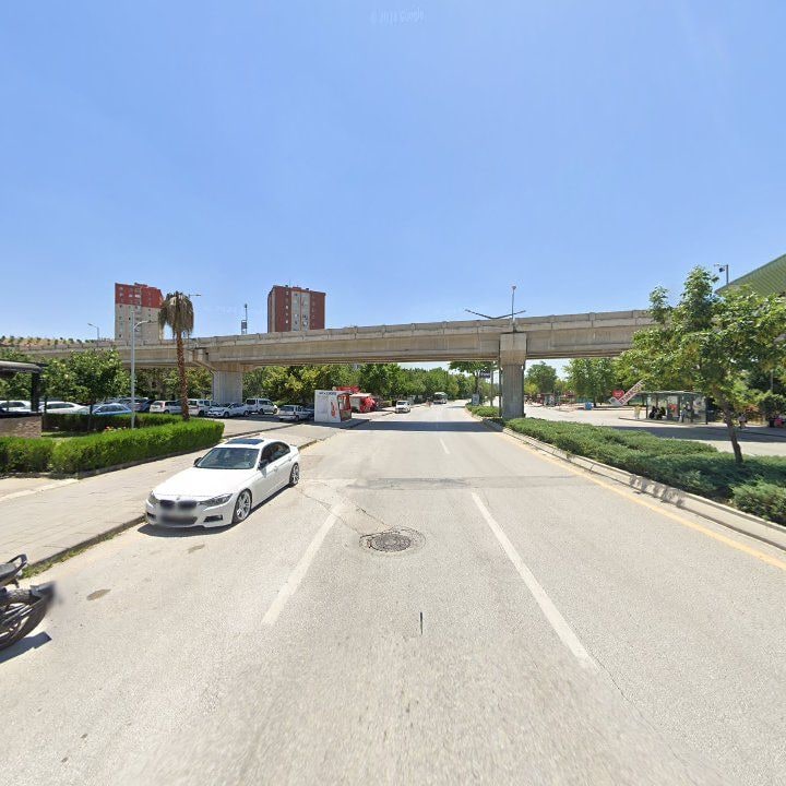 Fotoğraf 8