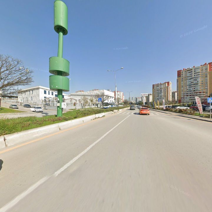 Fotoğraf 10