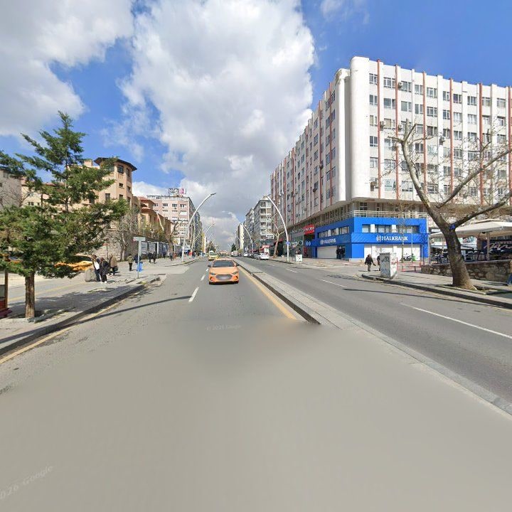 Fotoğraf 12