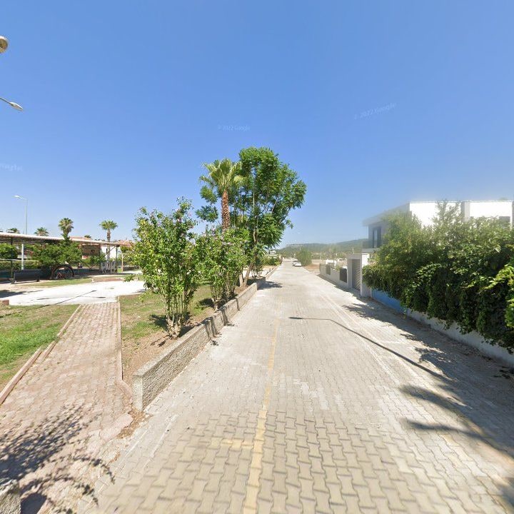 Fotoğraf 12