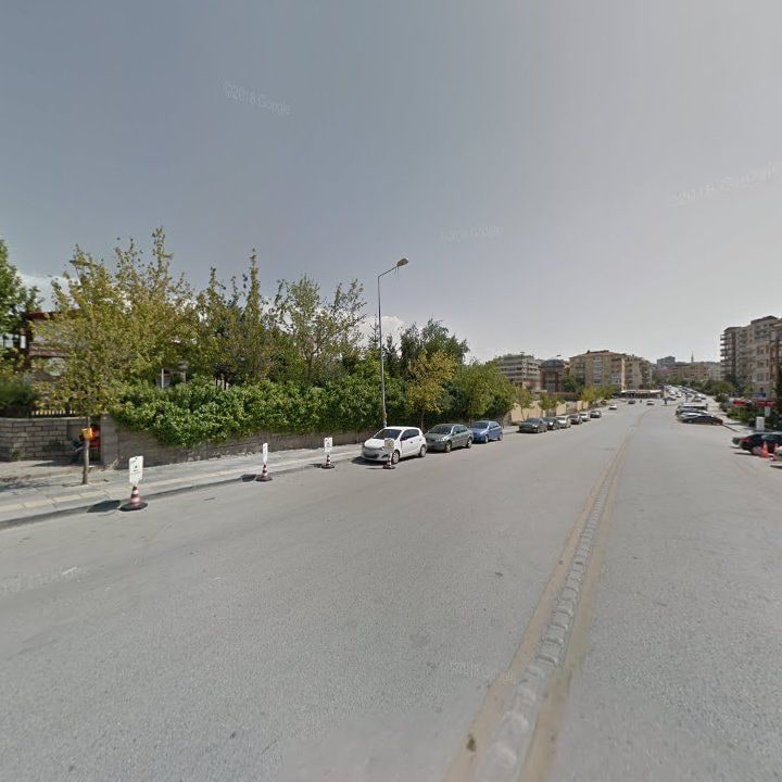 Fotoğraf 11