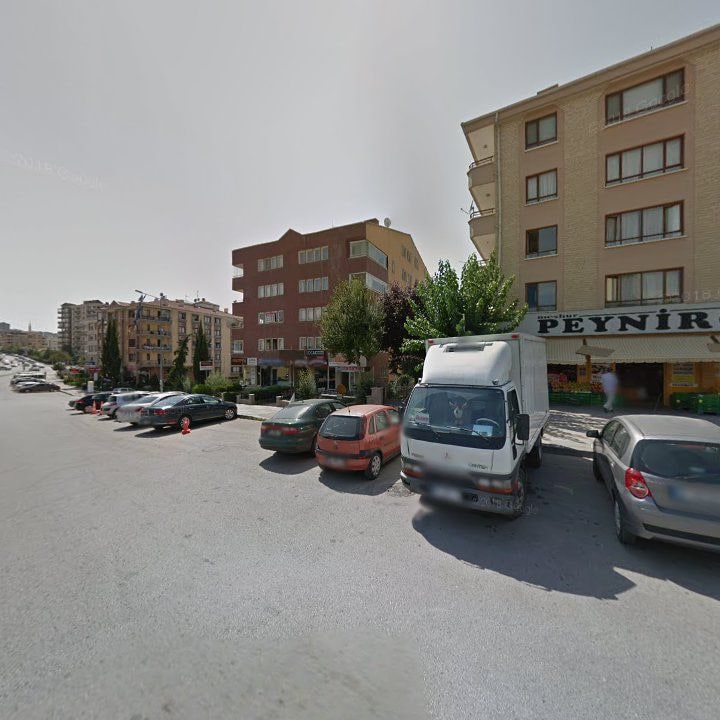 Fotoğraf 12