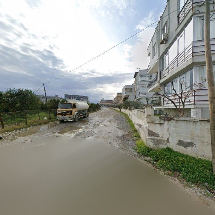 Fotoğraf 10