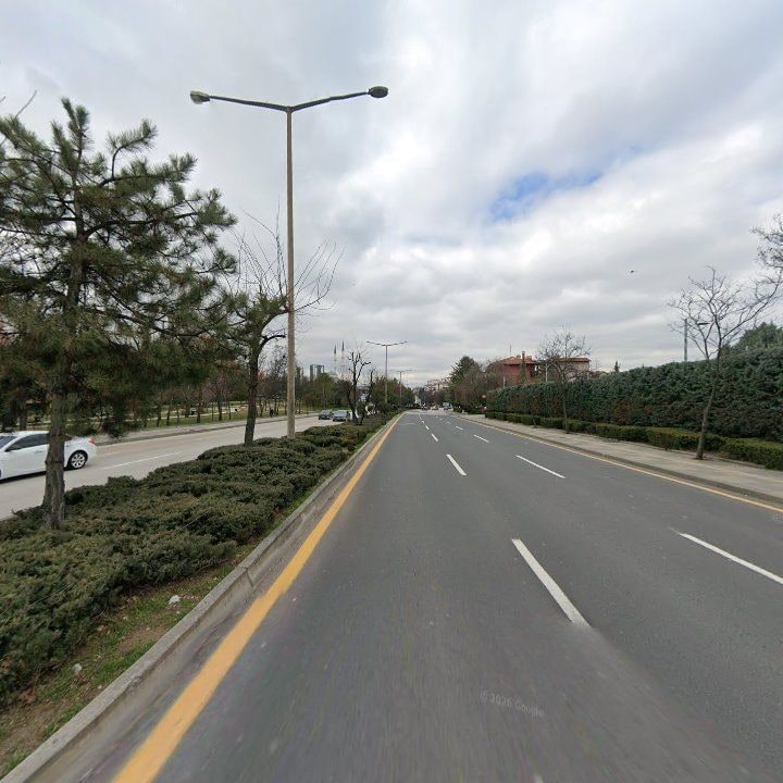 Fotoğraf 12
