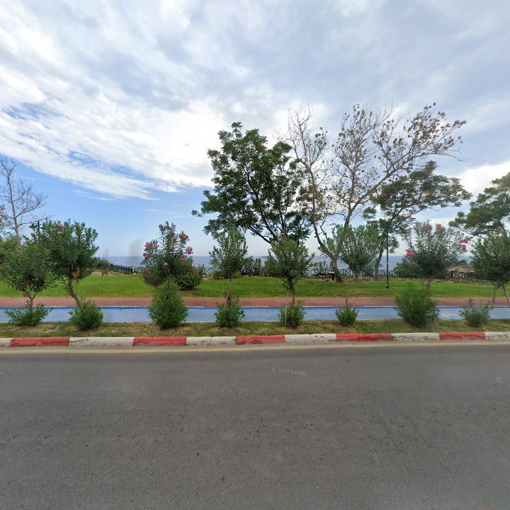 Fotoğraf 11