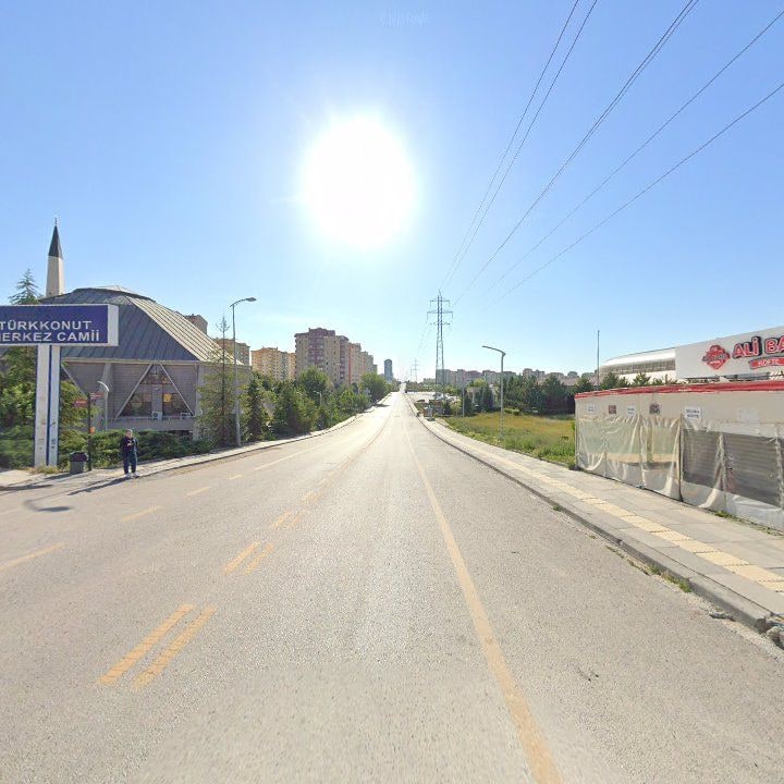 Fotoğraf 7