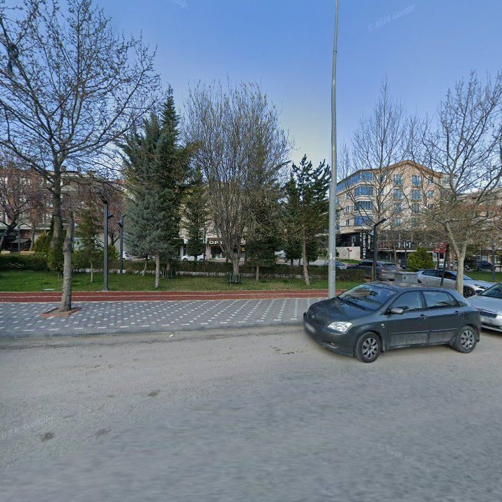Fotoğraf 9