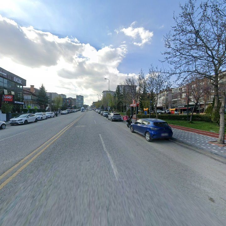Fotoğraf 8