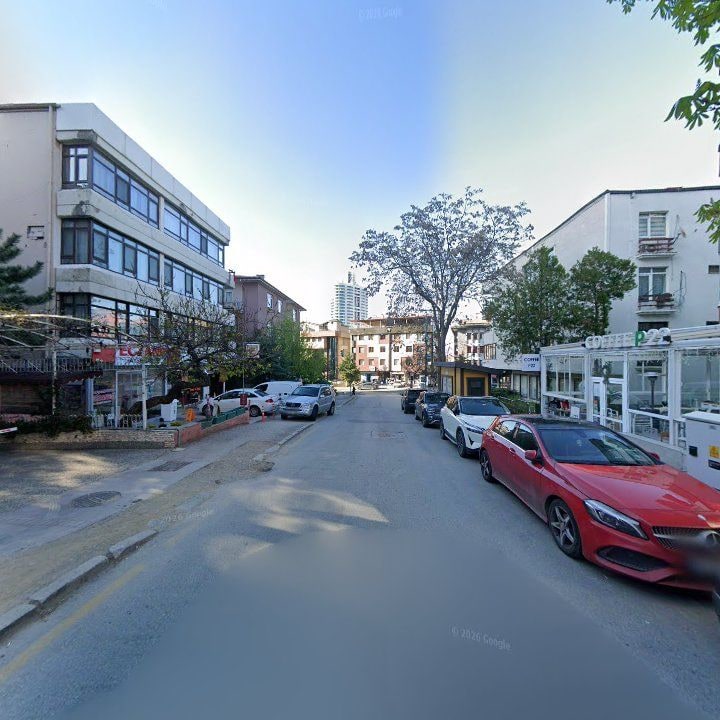 Fotoğraf 12