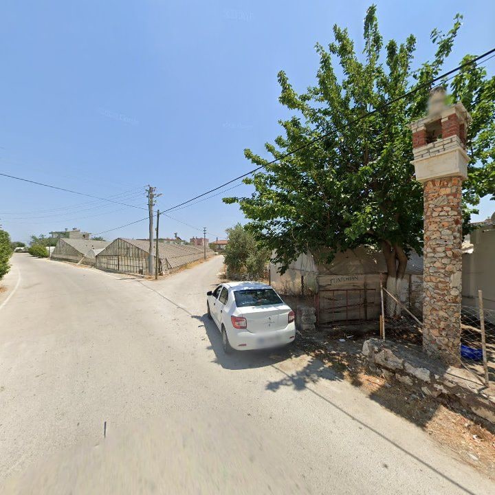 Fotoğraf 9