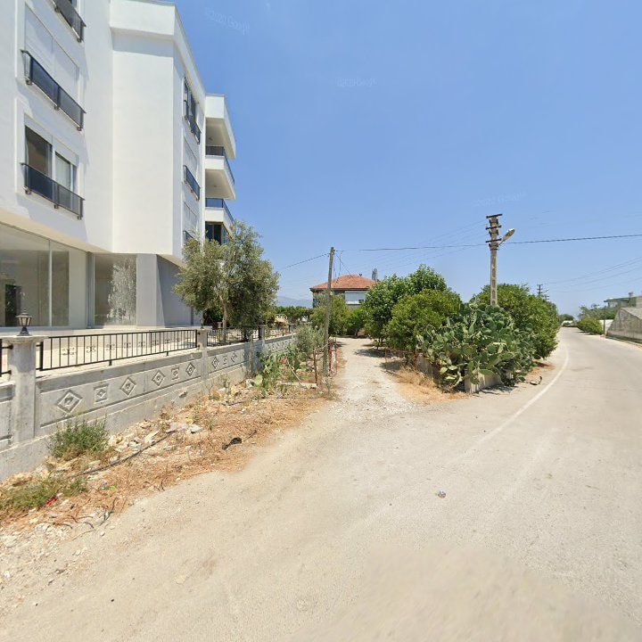 Fotoğraf 8