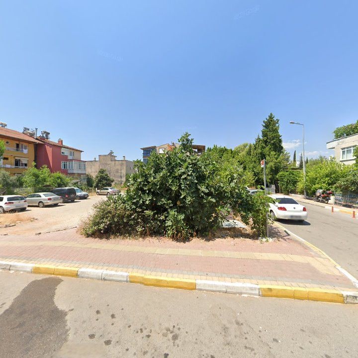 Fotoğraf 6