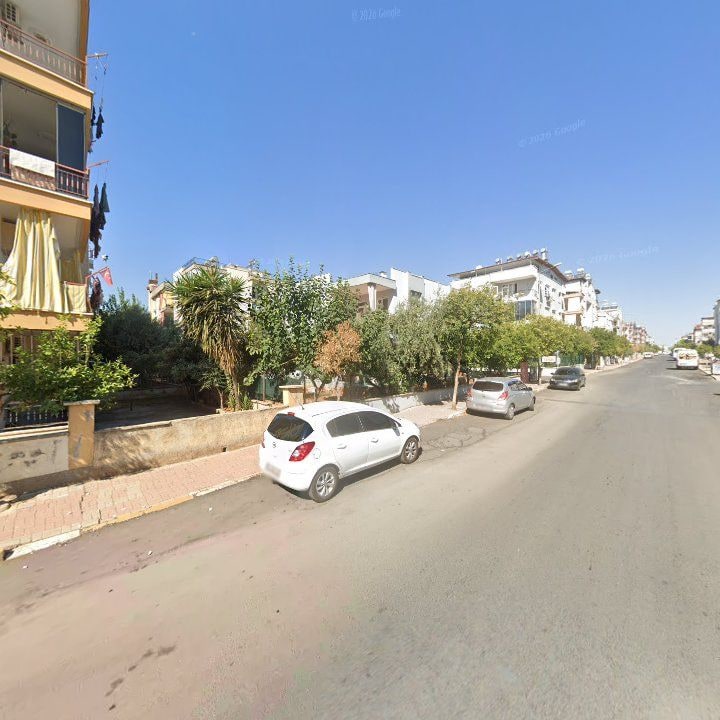 Fotoğraf 9