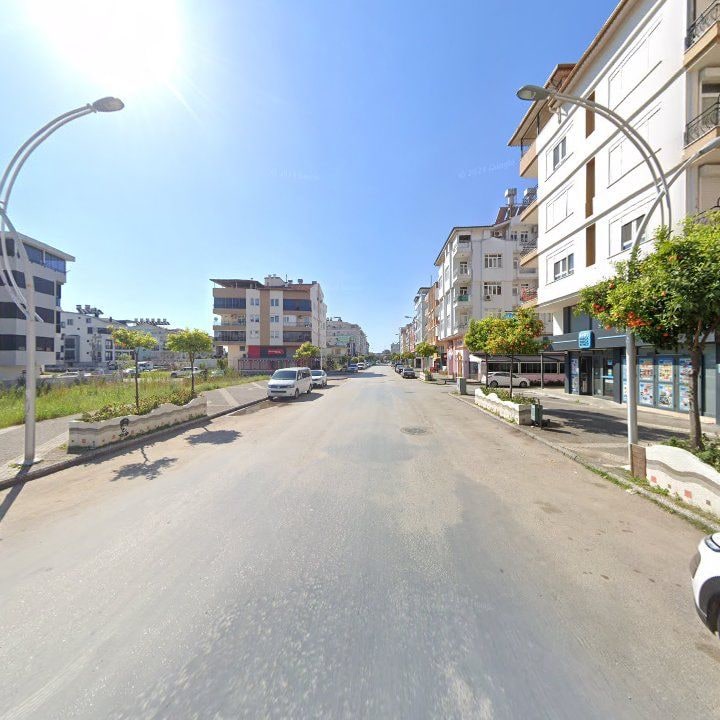 Fotoğraf 11