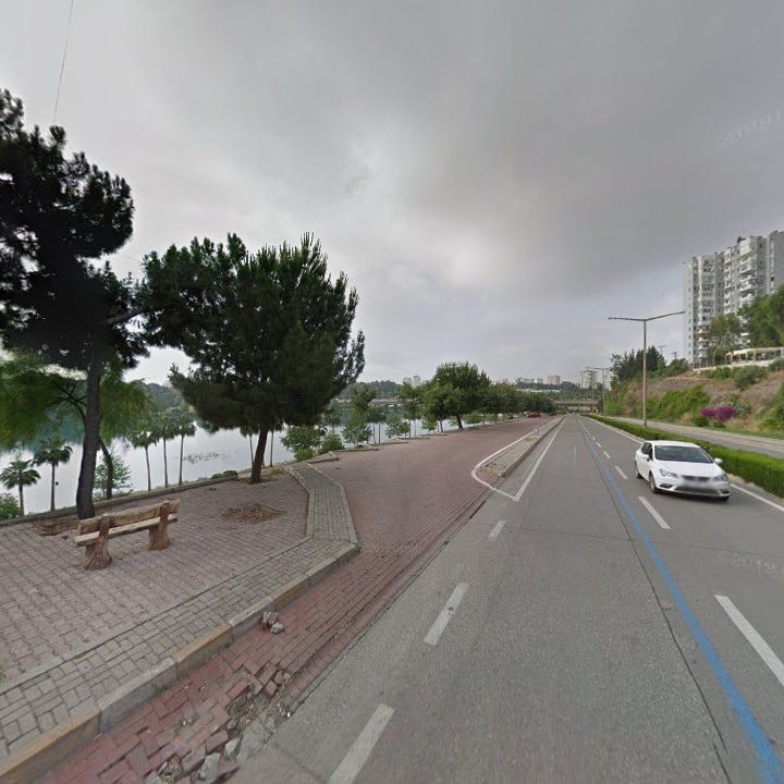 Fotoğraf 11