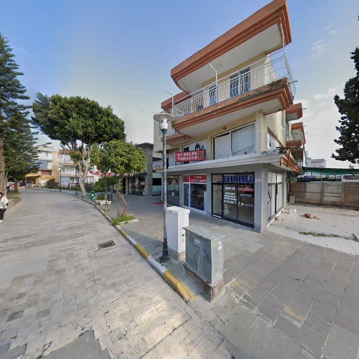 Fotoğraf 12