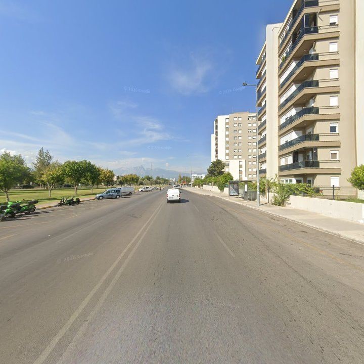 Fotoğraf 12
