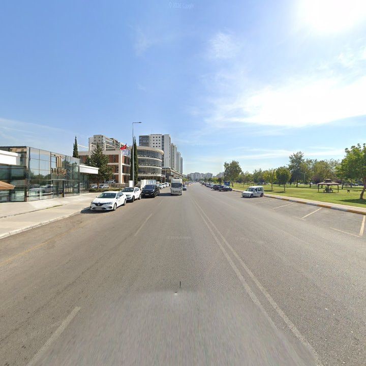 Fotoğraf 10