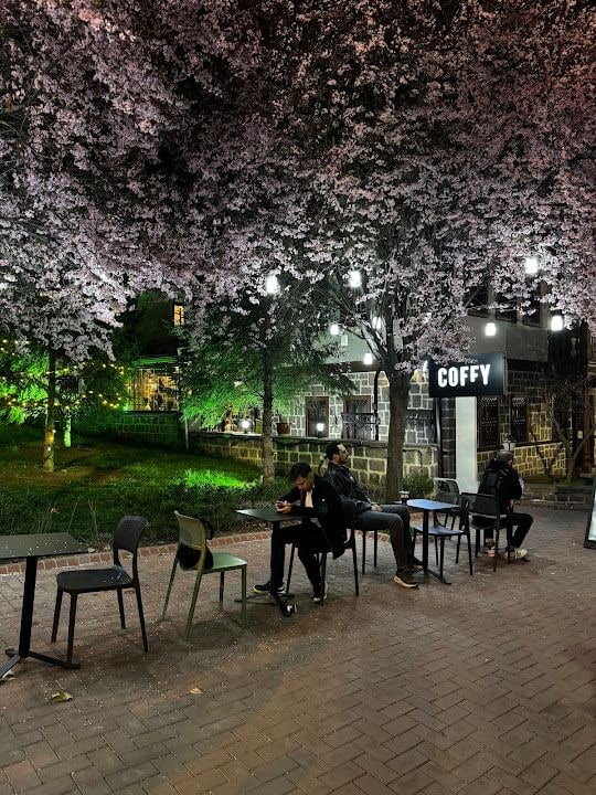 Coffy Hamamönü