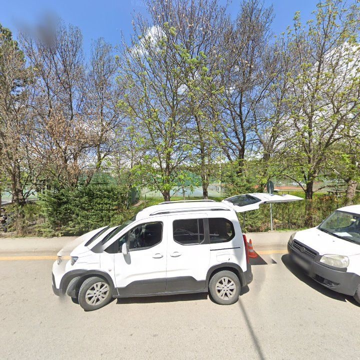 Fotoğraf 7
