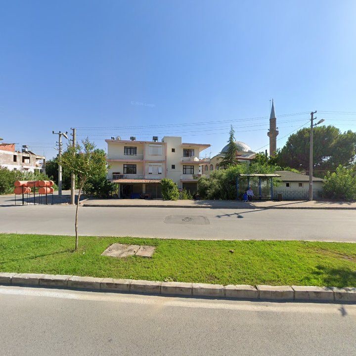 Fotoğraf 8