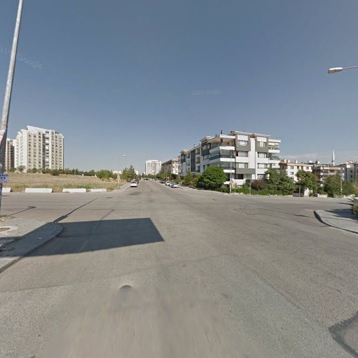 Fotoğraf 12