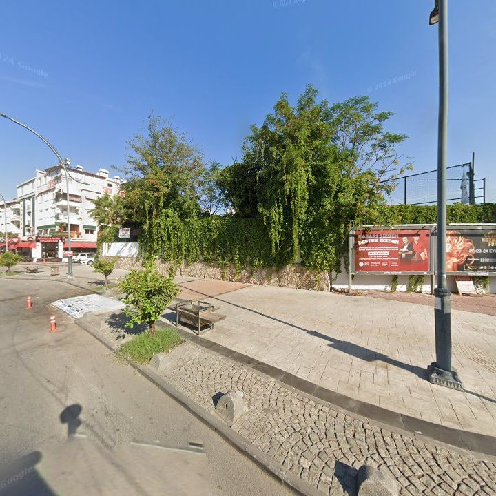 Fotoğraf 12