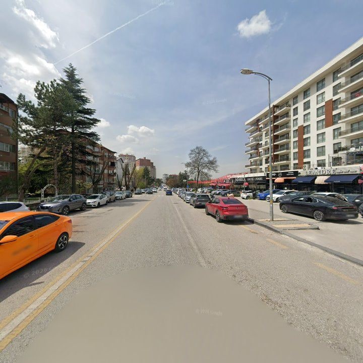 Fotoğraf 10